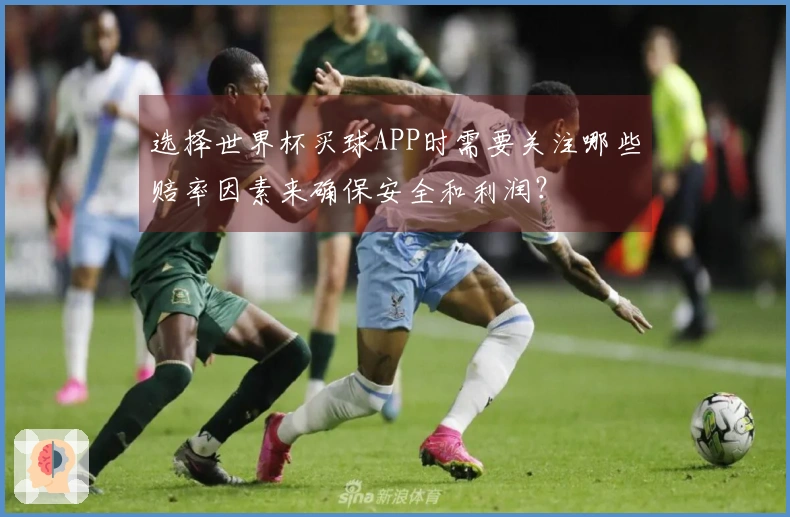 选择世界杯买球APP时需要关注哪些赔率因素来确保安全和利润？