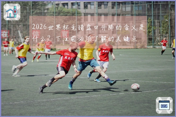2026世界杯竞猜盘口升降的含义是什么？下注前必须了解的关键点