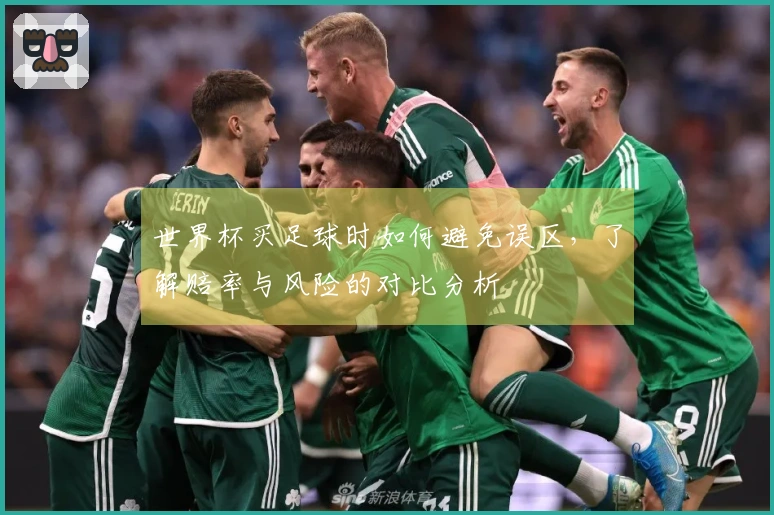 世界杯买足球时如何避免误区，了解赔率与风险的对比分析