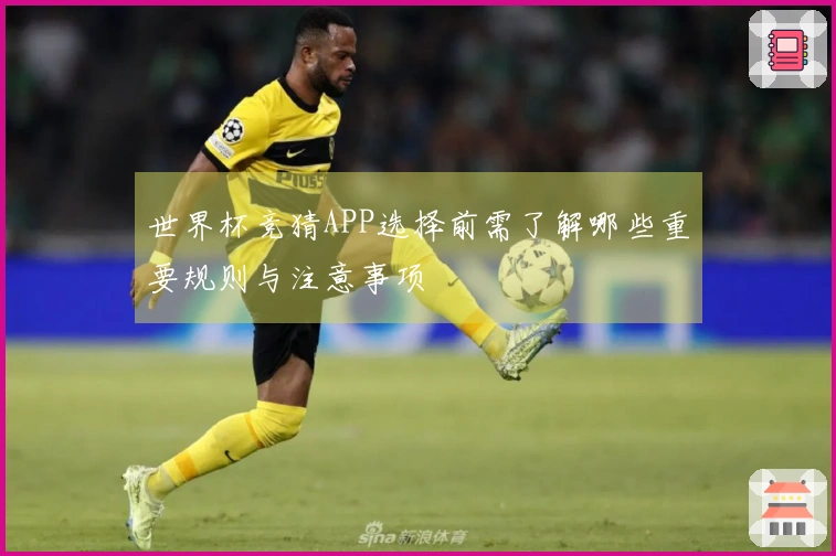 世界杯竞猜APP选择前需了解哪些重要规则与注意事项