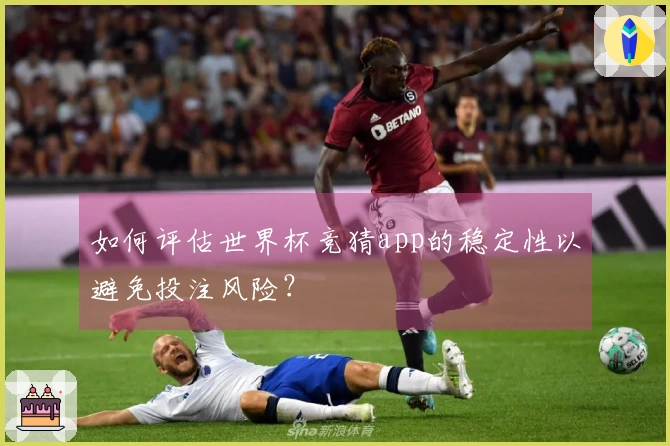 如何评估世界杯竞猜app的稳定性以避免投注风险？