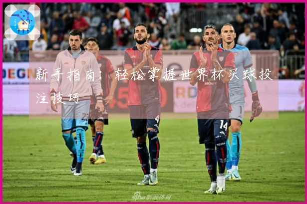 新手指南：轻松掌握世界杯买球投注技巧