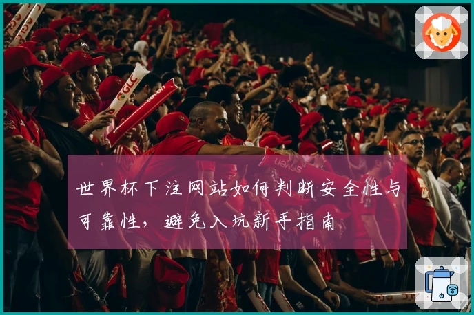 世界杯下注网站如何判断安全性与可靠性，避免入坑新手指南