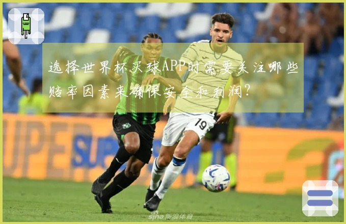 选择世界杯买球APP时需要关注哪些赔率因素来确保安全和利润？