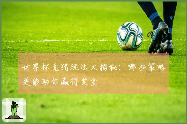 世界杯竞猜玩法大揭秘：哪些策略更能助你赢得奖金