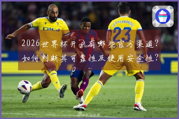2026世界杯开户有哪些官方渠道？如何判断其可靠性及使用安全性？