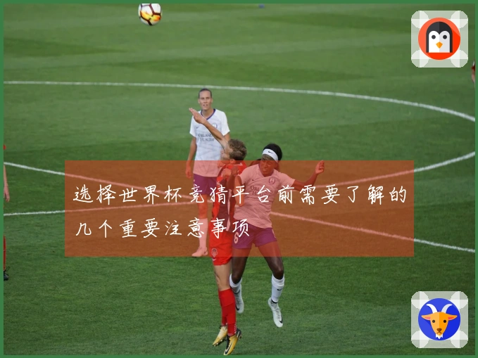 选择世界杯竞猜平台前需要了解的几个重要注意事项