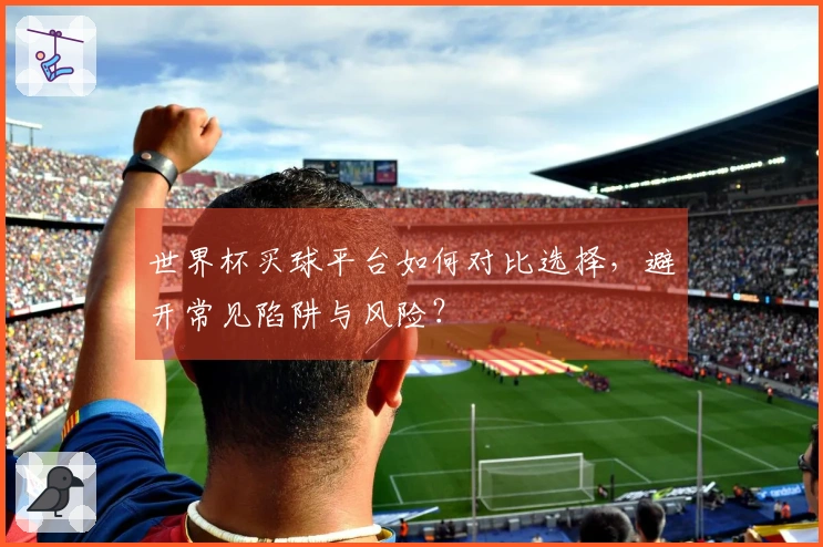 世界杯买球平台如何对比选择，避开常见陷阱与风险？