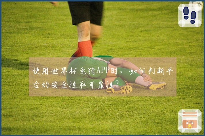 使用世界杯竞猜APP时，如何判断平台的安全性和可靠性？