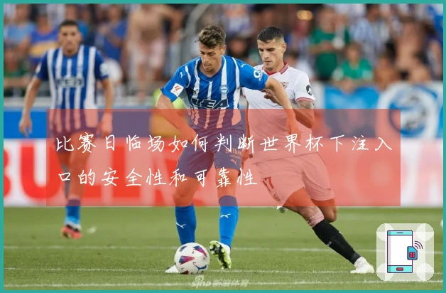 比赛日临场如何判断世界杯下注入口的安全性和可靠性
