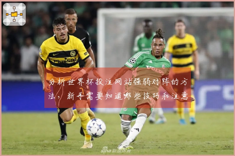 分析世界杯投注网站强弱对阵的方法，新手需要知道哪些技巧和注意事项