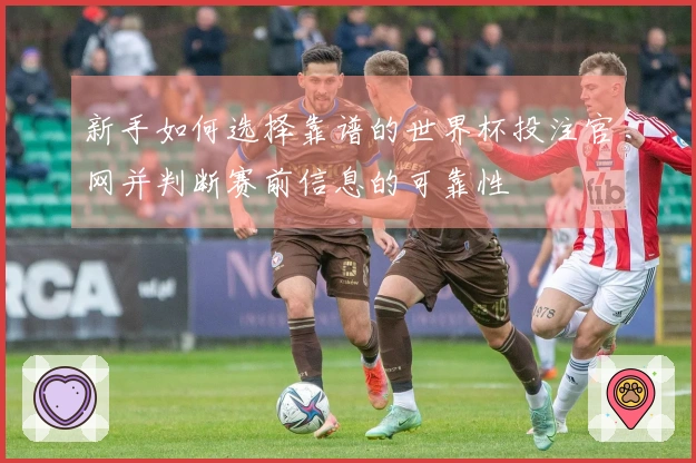 新手如何选择靠谱的世界杯投注官网并判断赛前信息的可靠性