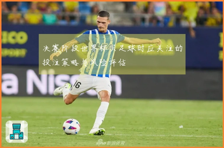 决赛阶段世界杯买足球时应关注的投注策略与风险评估