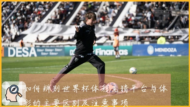 如何辨别世界杯体彩竞猜平台与体彩的主要区别及注意事项