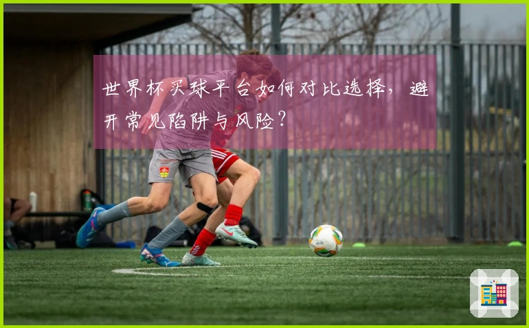 世界杯买球平台如何对比选择，避开常见陷阱与风险？