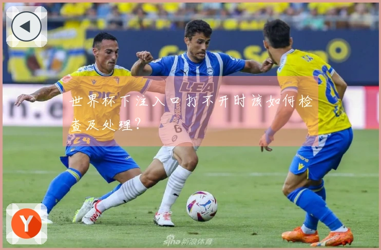 世界杯下注入口打不开时该如何检查及处理？