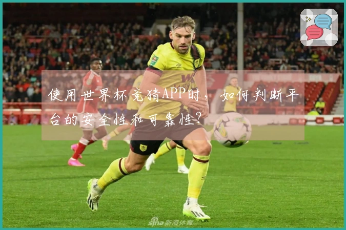 使用世界杯竞猜APP时，如何判断平台的安全性和可靠性？