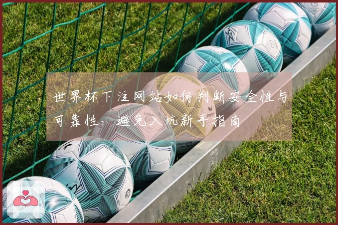 世界杯下注网站如何判断安全性与可靠性，避免入坑新手指南