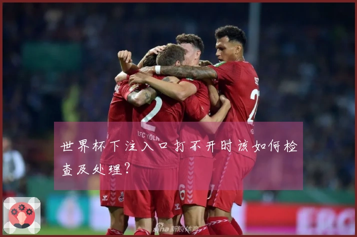 世界杯下注入口打不开时该如何检查及处理？