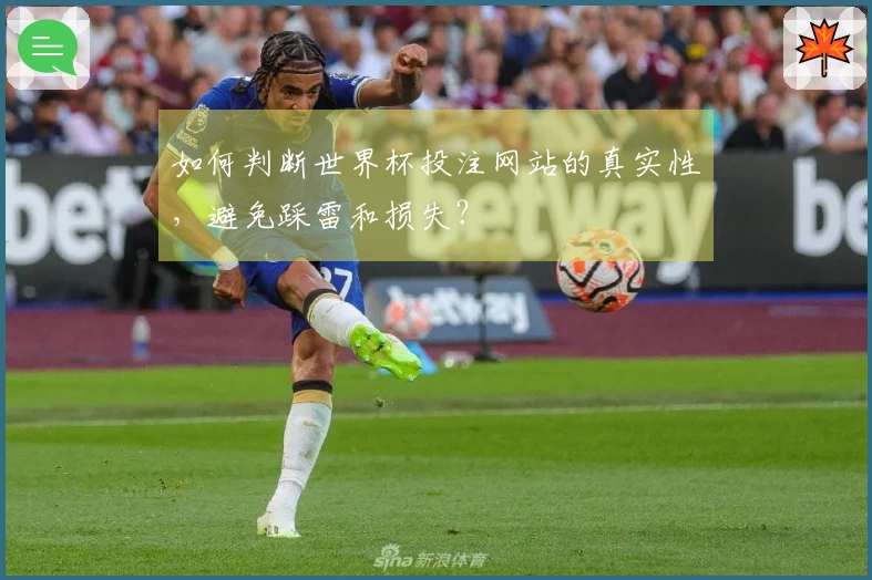 如何判断世界杯投注网站的真实性，避免踩雷和损失？