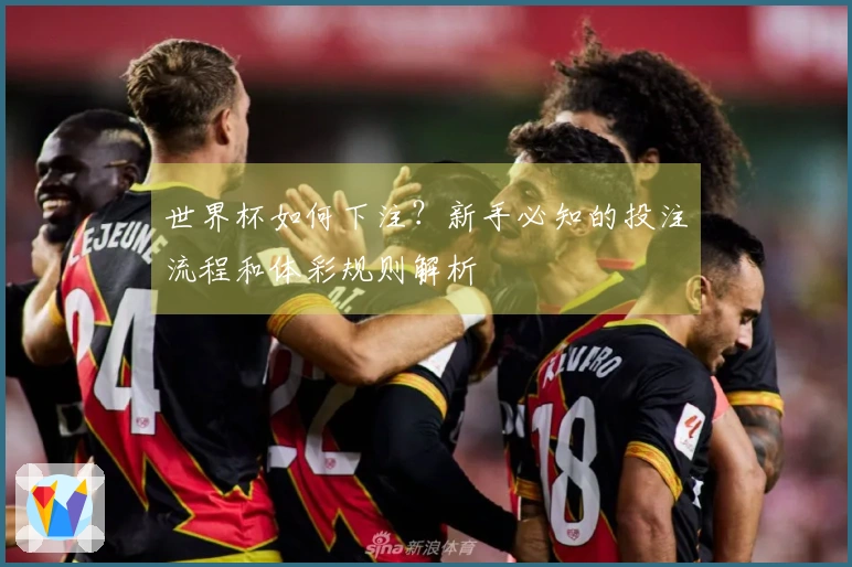 世界杯如何下注？新手必知的投注流程和体彩规则解析