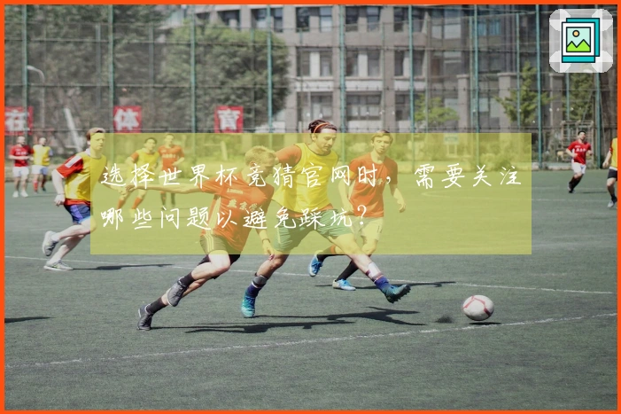选择世界杯竞猜官网时，需要关注哪些问题以避免踩坑？