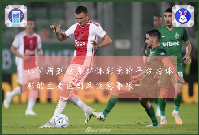 如何辨别世界杯体彩竞猜平台与体彩的主要区别及注意事项