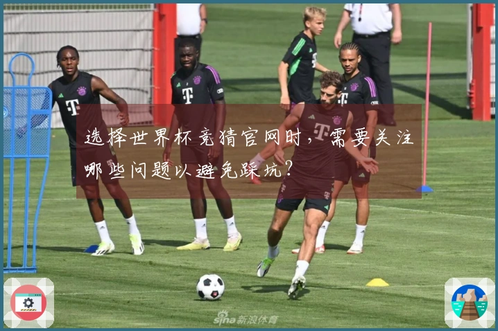 选择世界杯竞猜官网时，需要关注哪些问题以避免踩坑？