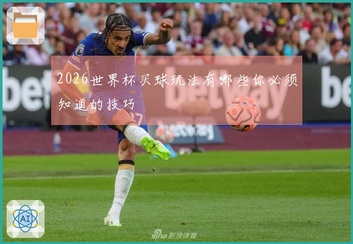 2026世界杯买球玩法有哪些你必须知道的技巧