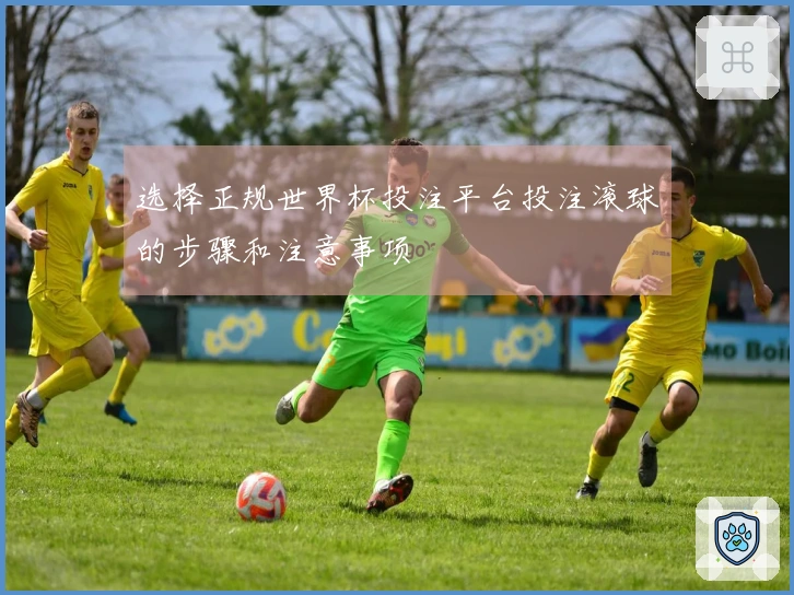 选择正规世界杯投注平台投注滚球的步骤和注意事项