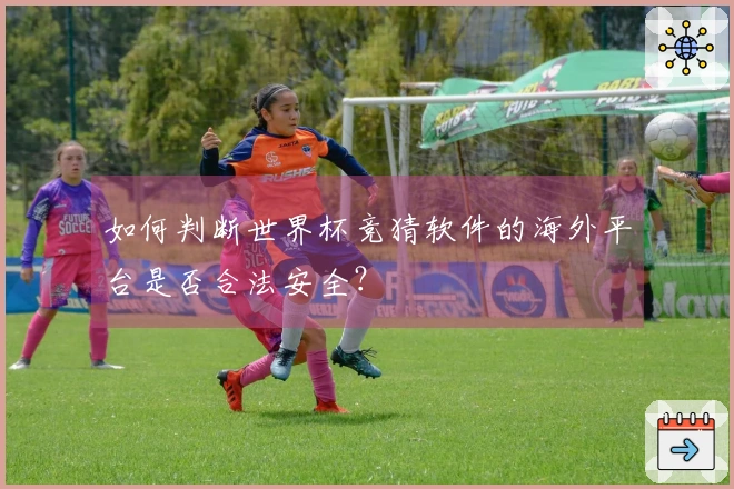 如何判断世界杯竞猜软件的海外平台是否合法安全？